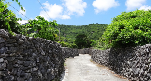 観光情報：阿伝集落