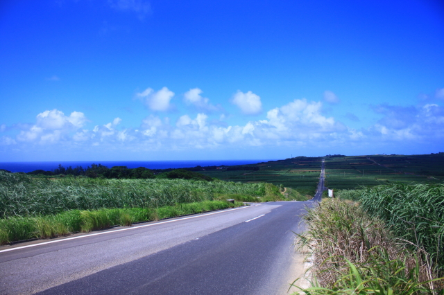 観光情報：喜界島シュガーロード