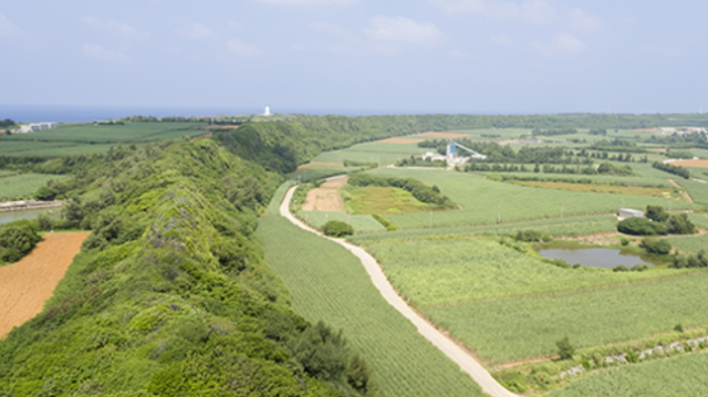 観光情報：長幕