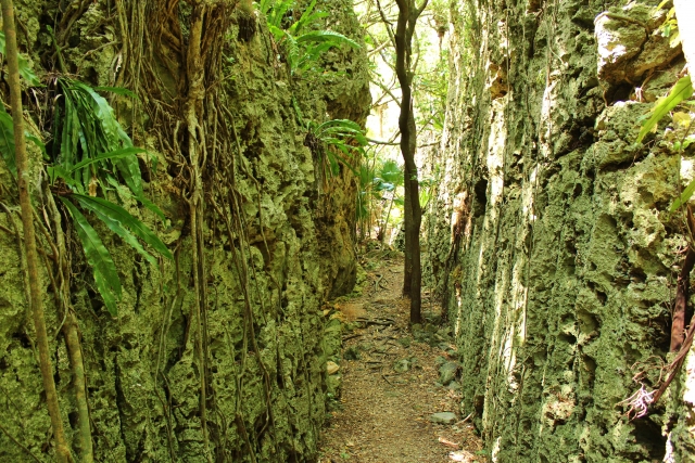 観光情報：バリバリ岩