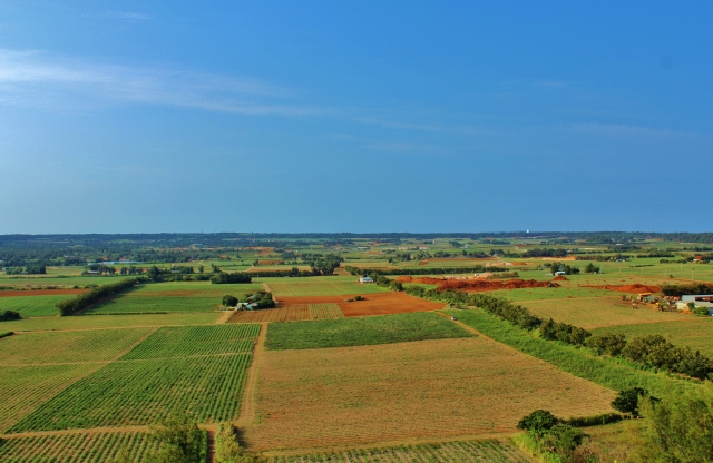 観光情報：日の丸山展望台