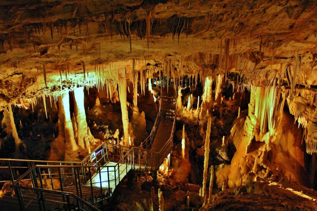 観光情報：星野洞