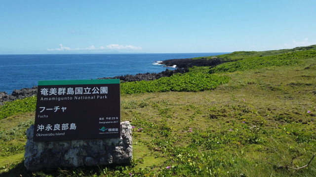 観光情報：フーチャ